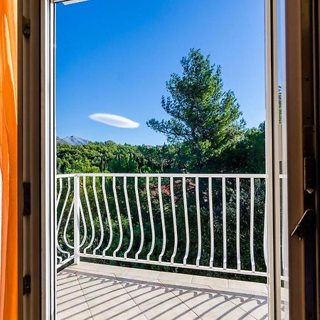Apartments Zrno Cavtat Extérieur photo